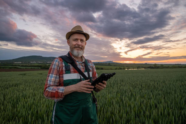 istock Farmer in a wheat field at sunset. 1489126743