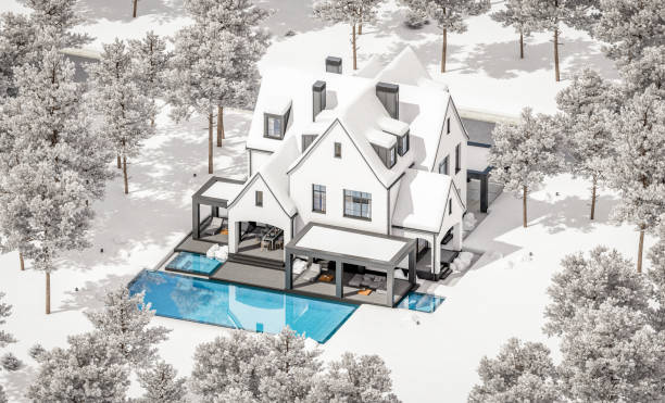 3d rendering of white and black modern tudor house in winter day - house residential structure non urban scene tudor style imagens e fotografias de stock