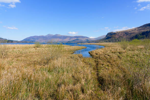istock Small stream from Derwent Water meandering through reeds 1489132553