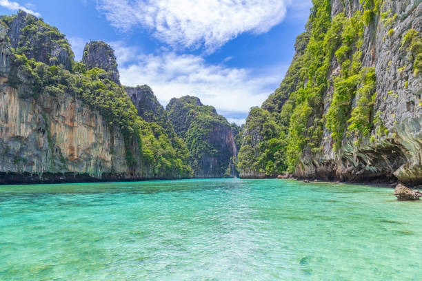 istock The Landscape with Maya bay at Phi Phi Leh island, Thailand 1489142822