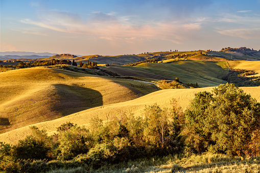 A summer morning in Val d'Orcia, Tuscany, Italy, captured rolling hills and fields in warm golden light, casting shadows and highlights. This photo exudes the tranquil beauty of Tuscany.