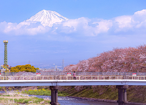 Colorful Snowy Mount Fuji Mountain Airplane Street Hiratuska Kanagawa Japan. Highest mountain in Japan over 12,000 feet. Mount Fuji is a symbol of Japan.