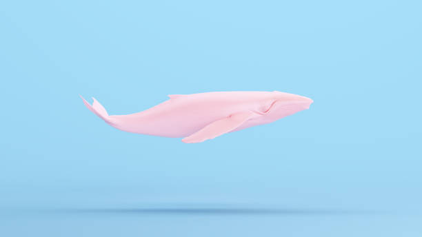 istock Pink Whale Large Humpback Whale Gen Z Blue Kitsch Background 1489152688