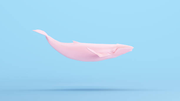 istock Pink Whale Large Humpback Whale Gen Z Blue Kitsch Background 1489152707