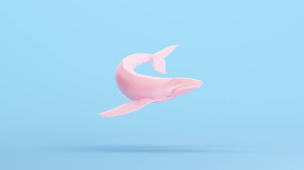 istock Pink Whale Large Humpback Whale Gen Z Blue Kitsch Background 1489152724