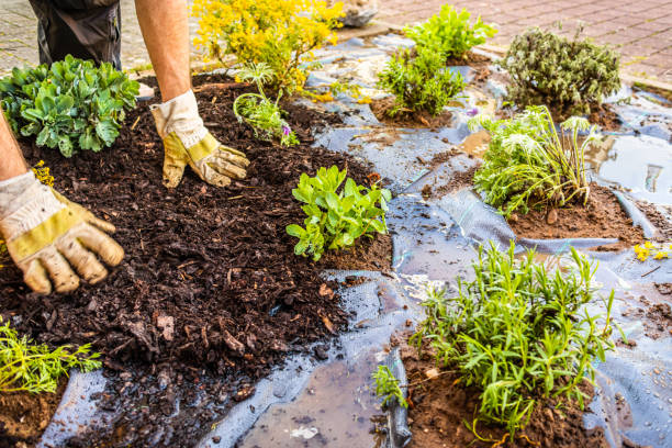 istock Installing weed control fabric material and bark mulch in a residential garden 1489153023