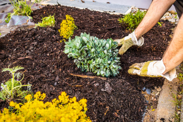 Installing weed control fabric material and bark mulch in a residential garden