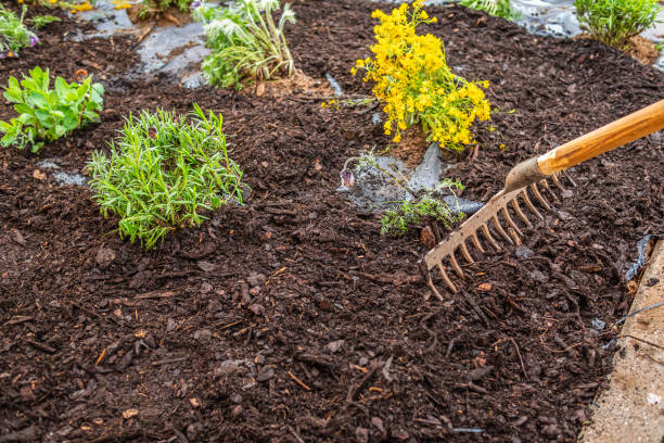 istock Installing weed control fabric material and bark mulch in a residential garden 1489153026