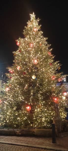 istock Christmas tree in Obernai 1489157874
