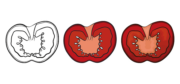 Three variations of a sliced tomato: one in outlines for coloring, other in flat colors and the last one in cartoon style.