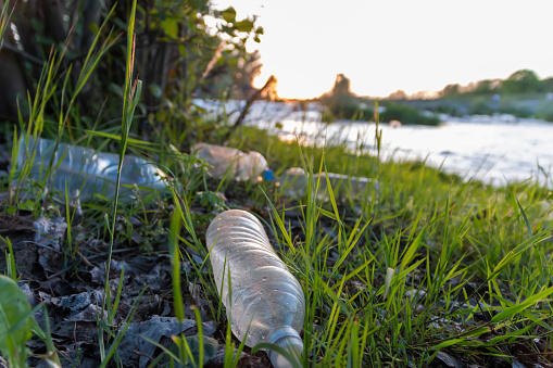 Plastic bottles, garbage in the polluted green grass on the river bank. 
The concept of human pollution of rivers and nature.