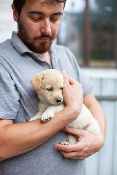 istock Man holding homeless puppy in hands. 1489166392