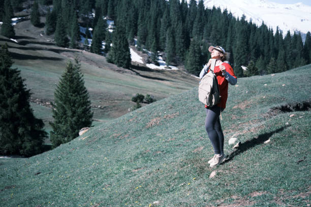 Female hiker is looking around in mountains