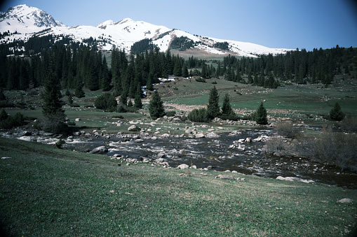 Mountain river flowing