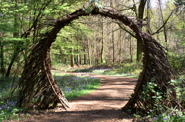 istock Woodland arch 1489169405