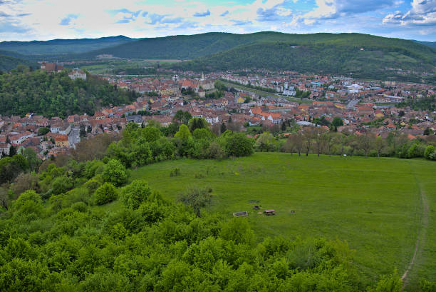 panorama della città da una collina verde circondata da boschi - segesvar foto e immagini stock