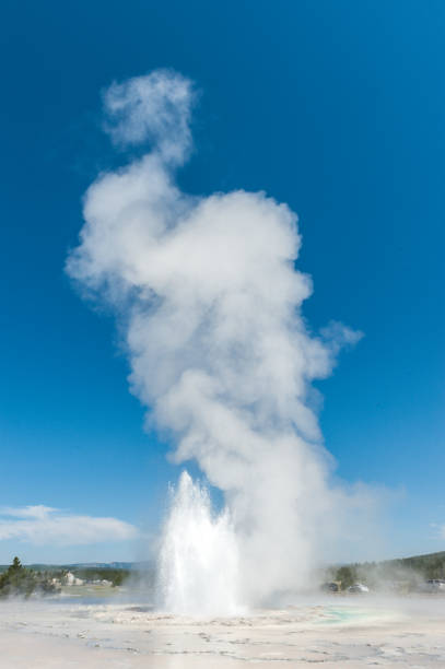 Eruption of the Great Fountain Geyser in Yellowstone National park.