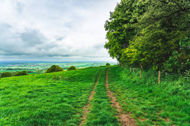 Path on hilly landscape on cloudy day in summer at Dunstable Downs, UK