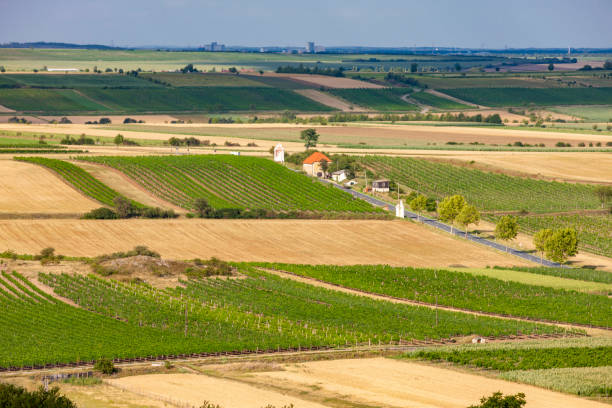 istock landscape with vineyards near Retz, Lower Austria, Austria 1489190328