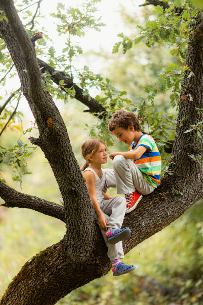 istock Children having fun playing and sitting on a tree in the forest 1489192795