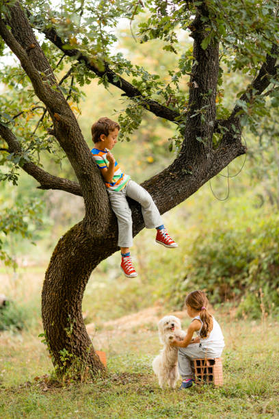 Children having fun playing with their dog and hanging on a tree in the forest