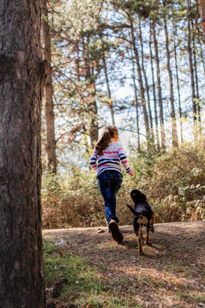 istock Cheerful little girl playing with stray dog 1489194498