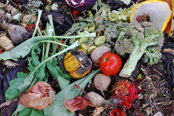 istock Discarded food and kitchen waste in a garbage heap 1489202794
