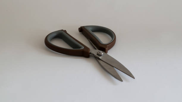 Scissors with wooden motif handles