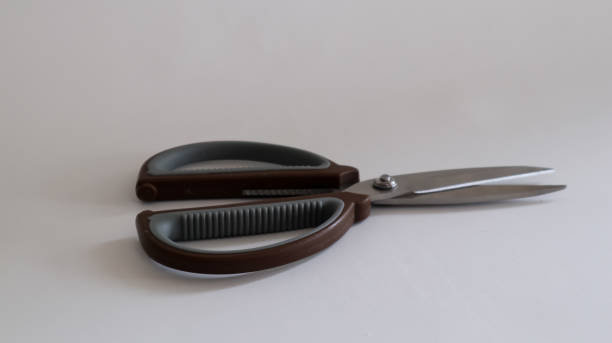 Scissors with wooden motif handles