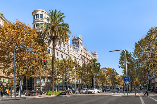 Barcelona, Spain - November 26, 2021: Traffic on Avinguda Diagonal passing by building number 558 in Barcelona. Cars on a city street with growing palm trees on an autumn sunny day