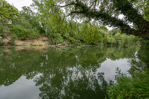 View of countryside and vineyards along the Vidourle river near Lecques