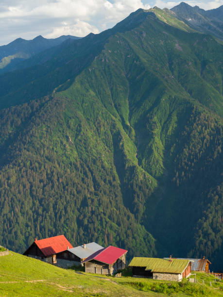 istock Traditional wooden houses 1489214664