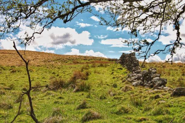 istock Scottish Ayrshire countryside 1489218533
