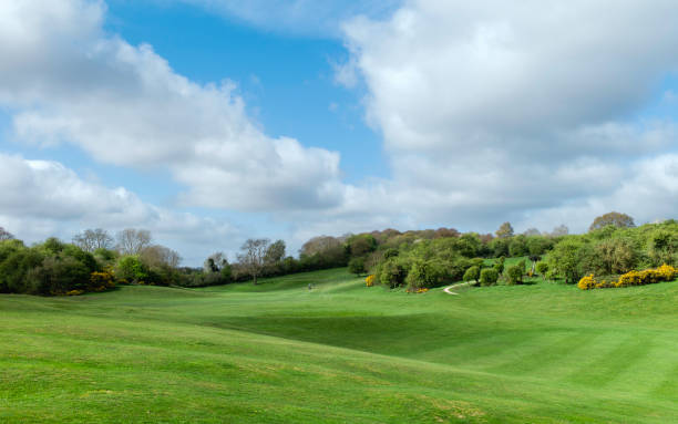 istock Westwood public parkland shared by golfers flanked by trees. Beverley, UK. 1489219021
