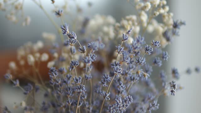 A beautiful and delicate lavender bouquet is in a vase on the table. Ekiban composition of dry flowers.