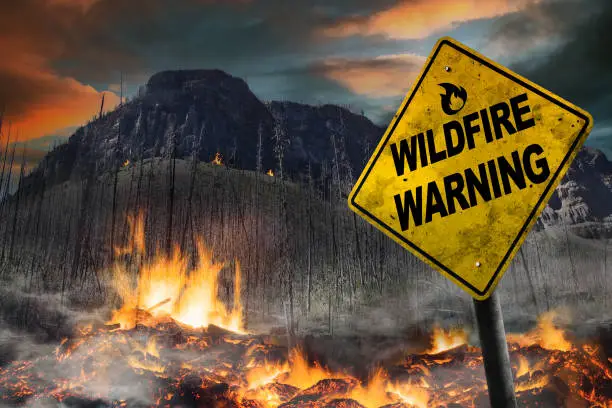 Photo of Wildfire warning sign against a forest fire background with burnt trees and vegetation