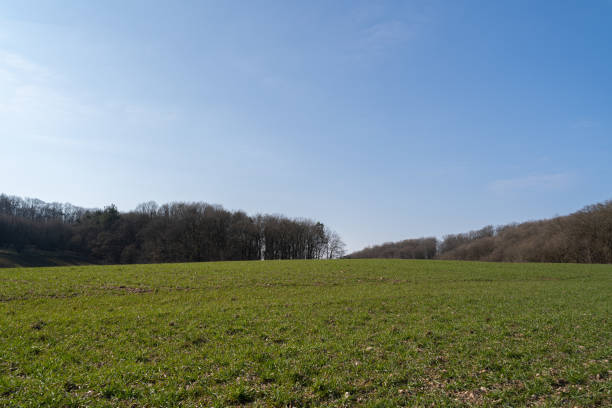 istock Grassy hill in the landscape with leafless trees and blue sky in spring 1489229422