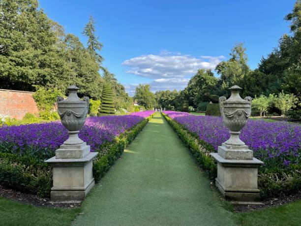 가든 앳 클리브덴 (garden at cliveden) - buckinghamshire 뉴스 사진 이미지