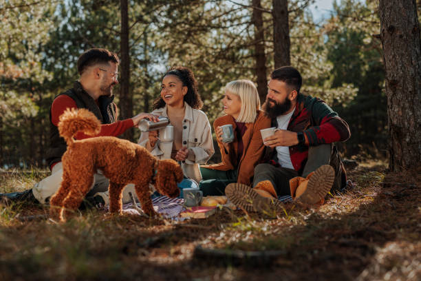 istock Happy friends have picnic in forest. 1489240664