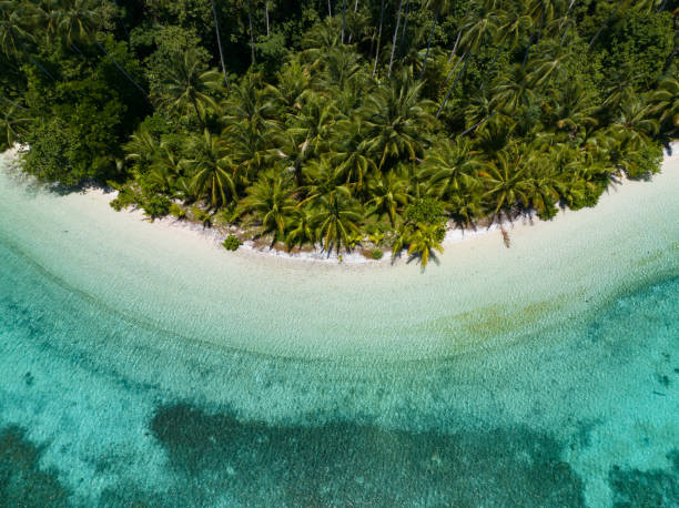 istock Aierla View of a Scenic Beach in Paradise 1489240982