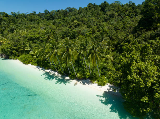 istock Aierla View of a Scenic Beach in Paradise 1489240987