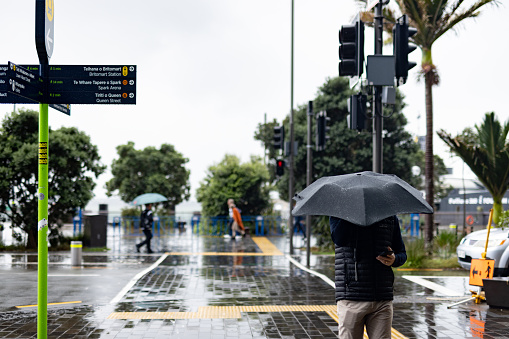 A wet Autumn day in Auckland City, New Zealand near the ferry building downtown.  A person walking with a black umbrella and holding a phone.
