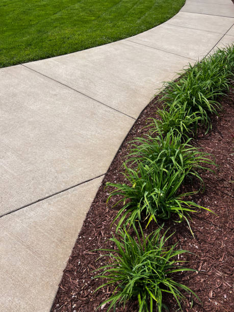 Curved Sidewalk and Landscaping