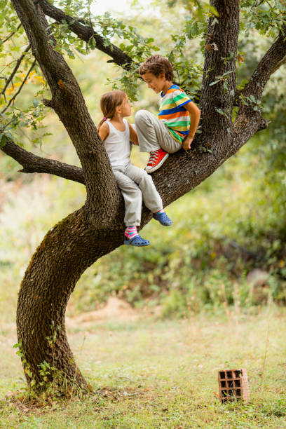 istock Children playing and talking on a tree in the forest 1489247328