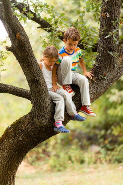 istock Children having fun playing and sitting on a tree in the forest 1489247367