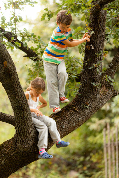 Children having fun playing and sitting on a tree in the forest