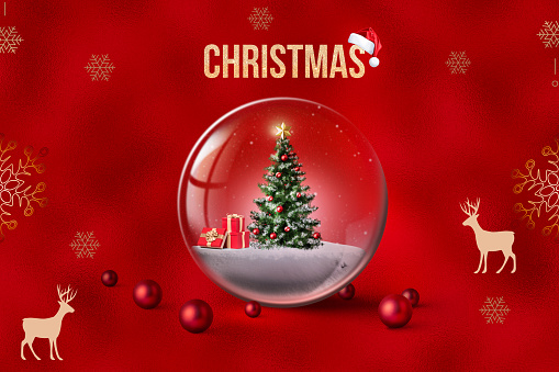 Christmas crystal ball with gift boxes and pine tree on red background. Christmas and New Year gift boxes inside in snow and on fir trees background. Snow ball souvenir on red background. 3d rendering