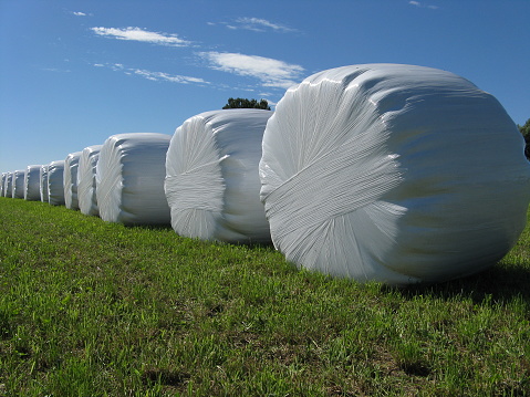 Sheaves of hay wrapped in foil in the open countryside