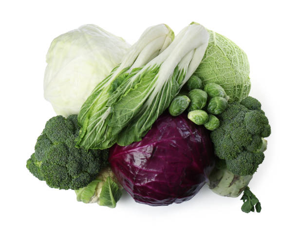 istock Many different types of fresh cabbage on white background, top view 1489262037