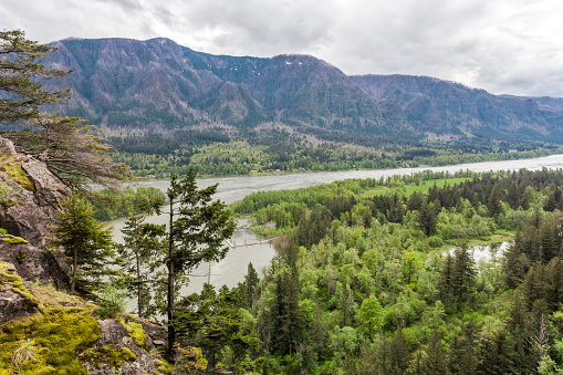 Beautiful view at the Columbia River from the Beacon Rock, Washington, in overcast day